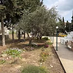 Kaniaris Parikia (Paros)